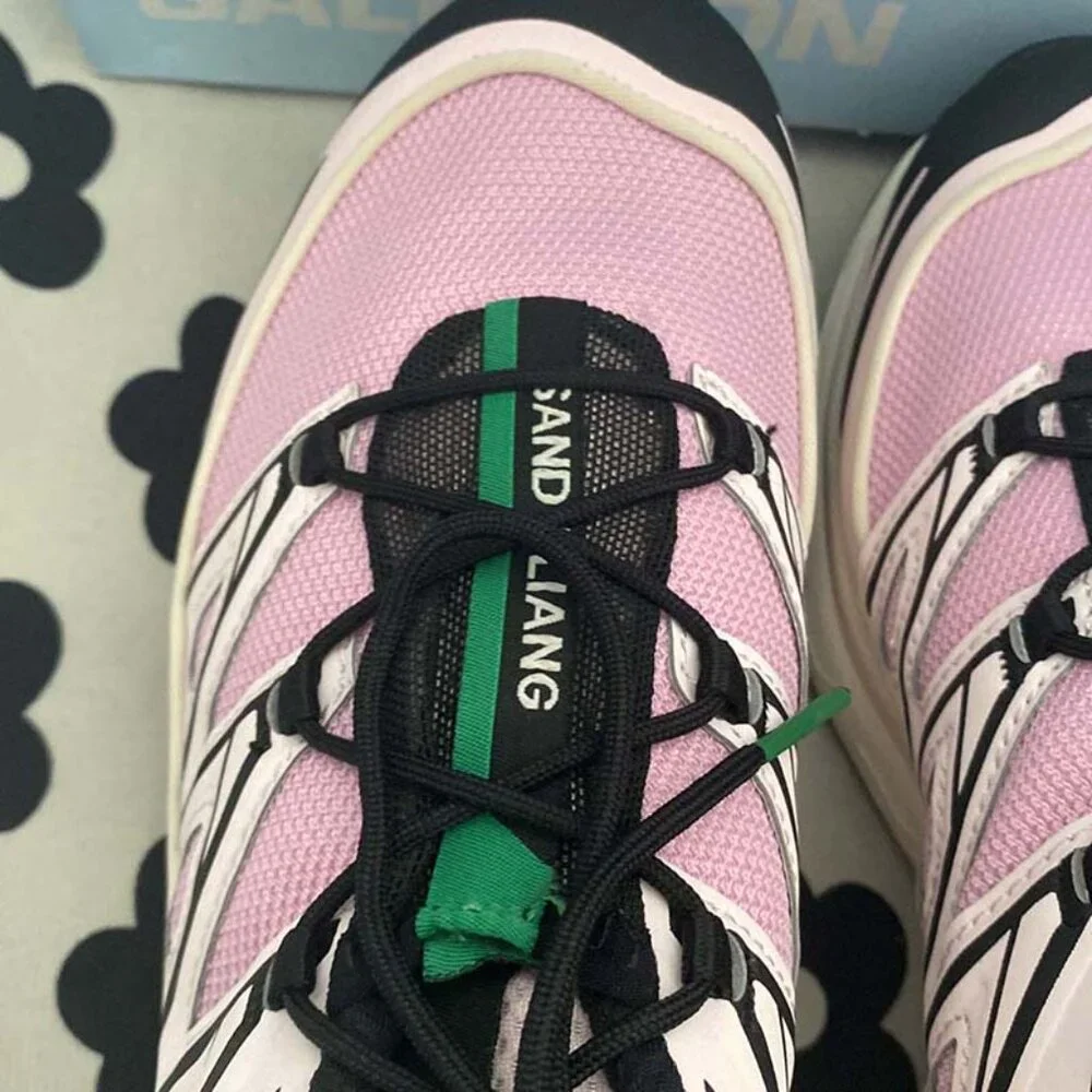 Salomon x Sandy Liang Xt-6 Expanse Cradle Sneakers Pink - Picture 6 of 8